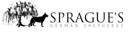 We did not find results for: Sprague S German Shepherds California German Shepherd Dog Breeder