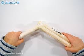 After the glue dried, i sent it through the planer to even it all out. Build A Working Arm Muscle A Science Activity Tutorial Sonlight Homeschooling Blog