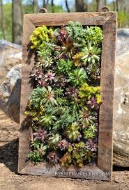 Because you'll be using hydroponics, any vertical garden on your wall where plants can stay close together is ideal. Succulent Wall Planter How To Build A Vertical Garden Bystephanielynn Succulent Wall Planter Vertical Succulent Gardens Garden Wall Planter