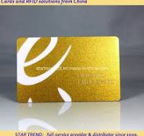 Metallic Gold Printing PVC Magnetic Stripe Card for VIP Membership