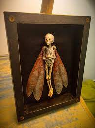 Cursed Items - Dead Fairy Shadow Box Display- Handmade Creepy Mummified  Fairy Corpse - Art Ornament : Amazon.ca: Home