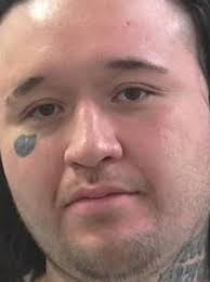 Fugitive captured in Plain City credited to alert area residents