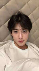 Cha Eun woo official fans group