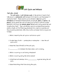 Within the chloroplast, a green pigment called. Cell Cycle And Mitosis Worksheet For 6th 12th Grade Lesson Planet