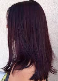 Purple hair color also has a relaxing side. 35 Bold And Provocative Dark Purple Hair Color Ideas