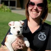 200+ "Splan" profiles