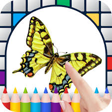 For adults, coloring can relieve. Amazon Com Colorful Butterflies Color By Number Free Pixel Art Game Coloring Book Pages Happy Creative Relaxing Paint Crayon Palette Zoom In Tap To Color