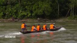 Découvrez les 12 meilleures idées de circuits à faire en deux semaines en indonésie. Une Saison En Indonesie En Replay Revoir Toutes Les Emissions De Une Saison En Indonesie En Replay