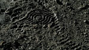 Night stalker is similar to any number of netflix's true crime docuseries, from making a murderer to jeffrey. Did Netflix Go Too Far With Richard Ramirez Serial Killer Documentary