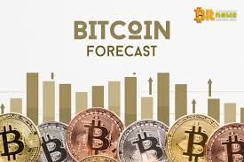 For more information on bitcoin, do read coingecko's how to bitcoin book. Forecast On The Bitcoin Exchange Rate The Coin Will Rise In Price To 10 000 By June 23 New Day Crypto