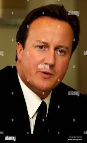 David Schepers's Instagram, Twitter & Facebook