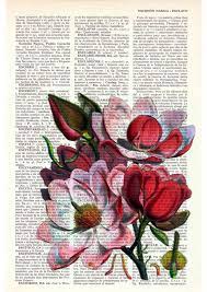 Vintage Book Print Dictionary Or Encyclopedia Page Print By Prrint 6 99 Paper Flower Art Book Page Art Flower Art