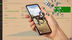 Sports Betting Software Provider Guide 2025: Top 20 Platforms By Scaleo
