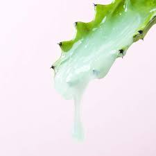 It's nearly clear in color, does not. Boscia Cactus Water Moisturizer Amazon De Beauty