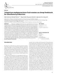 Image result for Trilepisium madagascariense