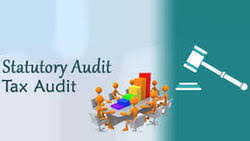 Statutory auditor is a title used in various countries to refer to a person or entity with an auditing role, whose appointment is mandated by the terms of a statute. Statutory Audit Statutory Financial Audit Service à¤µ à¤§ à¤¨ à¤• à¤'à¤¡ à¤Ÿ à¤— à¤¸à¤° à¤µ à¤¸ à¤¸ à¤Ÿà¤Ÿ à¤Ÿ à¤° à¤'à¤¡ à¤Ÿ à¤— à¤¸à¤° à¤µ à¤¸ à¤¸ à¤Ÿà¤Ÿ à¤Ÿ à¤° à¤'à¤¡ à¤Ÿ à¤— à¤¸ à¤µ à¤ In Lucknow Payroll Firm Id 18525187373