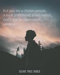 From darkness to light 1pe 2:9 but ye are a chosen generation, a royal priesthood, an holy nation, a peculiar people; Olivetreebible On Twitter 1 Peter 2 9 But You Are A Chosen People A Royal Priesthood A Holy Nation God S Special Possession That You May Declare The Praises Of Him Who Called You