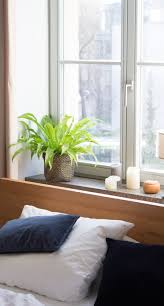 Dafür begnügt sich das einblatt mit einem schattigen plätzchen und einer wöchentlichen wassergabe. Zimmerpflanzen Im Schlafzimmer Garten Fraulein