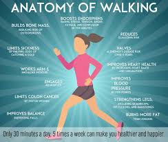 Wellness Initiative Takes Walking Paths Indoors Health
