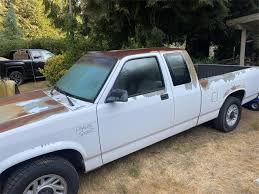 Image result for Bright White 1993 Dakota