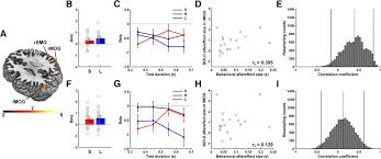 Momentan besteht dieses puzzle aus 335 level. Duration Selectivity In Right Parietal Cortex Reflects The Subjective Experience Of Time Journal Of Neuroscience