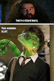 Maybe you would like to learn more about one of these? Your A Lizard Harry Album On Imgur
