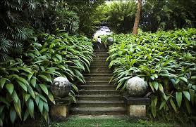 Brief Garden A Hidden Paradise In Sri Lanka Tropical Garden Design Garden Garden Planters
