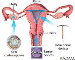 Estrogen, by contrast, is known to increase cardiovascular risk, particularly in women with high blood pressure, women with a history of blood clots, and women over 35 who smoke. Birth Control Slow Release Methods Medlineplus Medical Encyclopedia