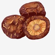 เห ดช ทาเกะท สวยงามเห ดช ตาเกะเห ดแห ง การตกแต งเห ด ภาพประกอบ เห ดส กาแฟภาพ png และ psd สำหร บดาวน โหลดฟร เห ด ภาพประกอบ พ นหล ง