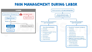 Image result for Non-Pharmacologic Pain Control in Labor