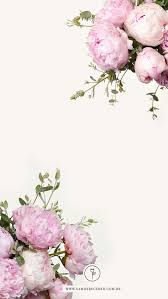 Blush Pink Floral Peonies Flowers Iphone Phone Background Wallpaper Lock Screen Flower Background Iphone Peony Wallpaper Phone Background Wallpaper