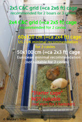 cage size guide the guinea pig forum