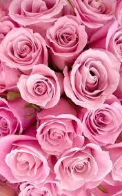 Pin By Xiomara Pena On Iphone Wallies Wallpaper Iphone Roses Rose Wallpaper Flower Wallpaper