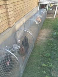The Best Creative And Easy Diy Chicken Coops You Need In Your Backyard No 52 Chicken Tunnels Chicken Diy Chickens Backyard