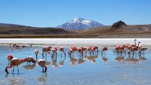 The constitutional capital is sucre. Best Time To Visit Bolivia Best Time Of Year For Travelling To Bolivia Rough Guides