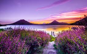 Enjoy and share your favorite beautiful hd wallpapers and background images. Flower Landscape Wallpapers Top Free Flower Landscape Backgrounds Wallpaperaccess