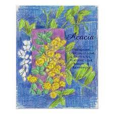 Acacia Flower Floriography Print Poster Prints Flowers Prints