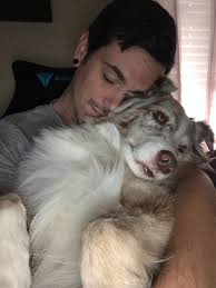 Stephen Salisbury (@barelystephen)