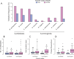 Ftd®, a premier provider of beautiful floral arrangements & flower bouquets since 1910. Pollinator Divergence And Pollination Isolation Between Hybrids With Different Floral Color And Morphology In Two Sympatric Penstemon Species Scientific Reports