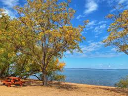 See bbb rating, reviews, complaints, & more. The Best Texas Lake Cabin Rentals Find Yours At Willow Point Resort