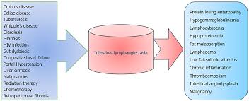 Image result for Intestinal Enteropathy