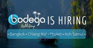 Cat • domestic shorthair / mix. Bodega Hostels Company Is Hiring In Thailand Voluntouring Org