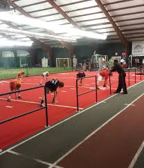 parisi speed school ymca in sinking