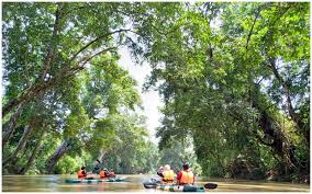 Check spelling or type a new query. Pengalaman Berkayak Di Little Amazon Terengganu Cerita Huda By Huda Halid