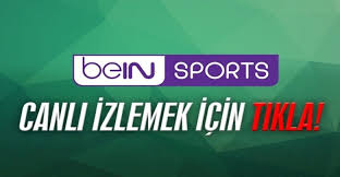 Lig tv (bein sports 1) canlı izle! Anadolu Efes Saski Baskonia Maci Canli Izle 04 12 2020