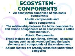 Grade a large egg is better than a u.s. Unit 2 Ecosystem And Bio Diversity Ppt Ppt Powerpoint