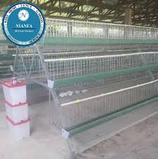 Berketuk (= berkotek) di luar sangkar, bertanam di luar pagar. Kandang Burung Puyuh Burung Puyuh Baterai Kandang Kualitas Tinggi Untuk Ayam Petelur Pabrik Guangzhou Buy Kandang Untuk Lapisan Ayam Kandang Untuk Dijual Kandang Burung Untuk Dijual Product On Alibaba Com