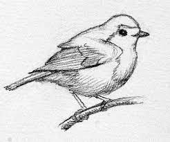 Bird Sketch Bird Drawings Bird Sketch Bird Pencil Drawing