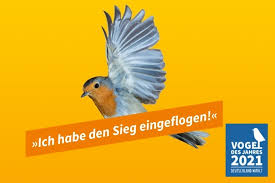 Bei der abstimmung entscheidet sich, wer das land in der kommenden fünfjährigen legislaturperiode regiert. Vogel Des Jahres Der Sieger Steht Fest Nabu