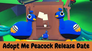 Although the event begins today, remember that eggs will not be added until. Adopt Me Peacock Release Date And Time New Update Peacock Pet And More Here